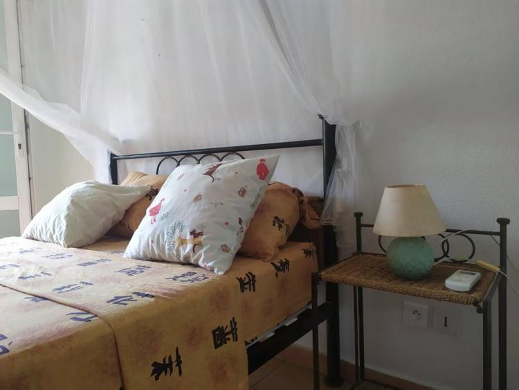 Charmant Appartement En Bord De Mer Avec Piscine グルベイル エクステリア 写真